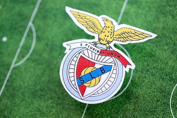 Collection Benfica