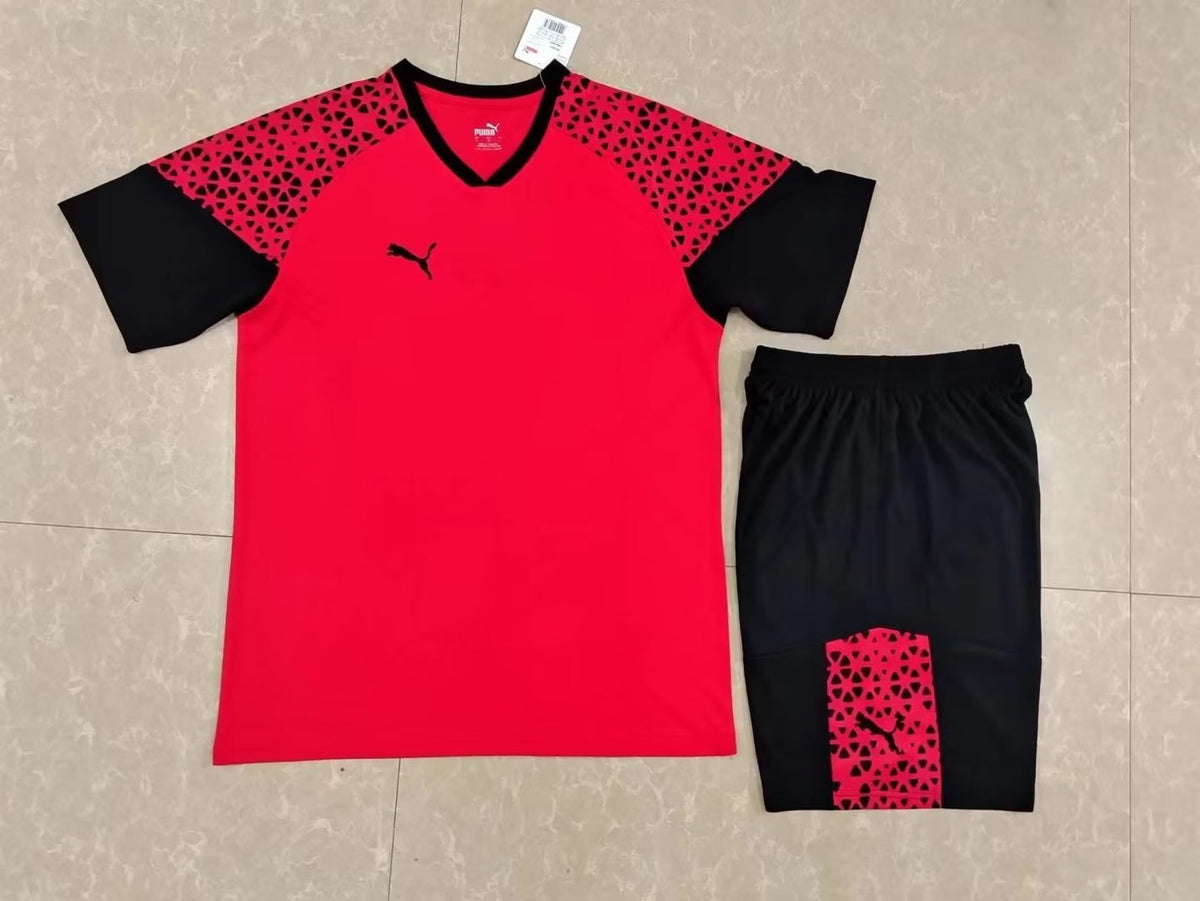 Ensemble match rouge PUMA