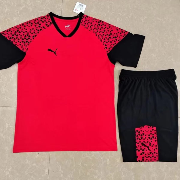 Ensemble match rouge PUMA