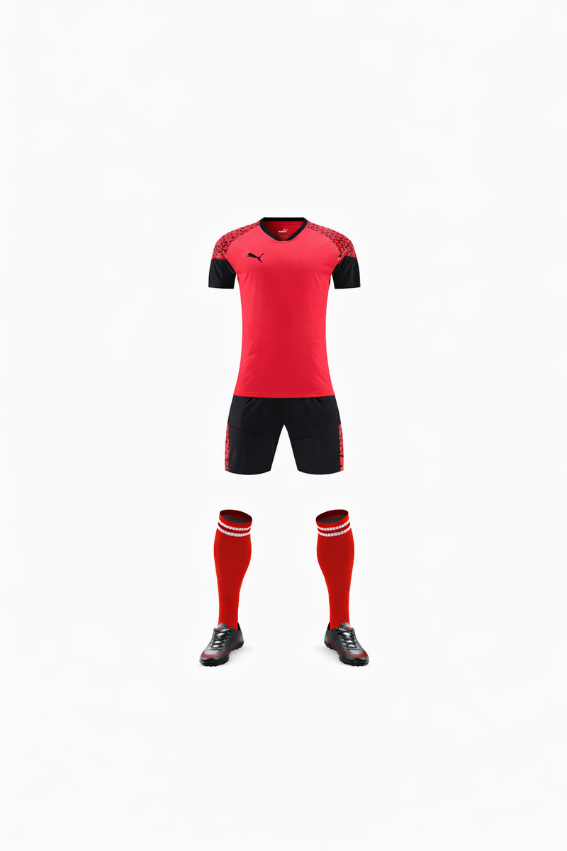 Ensemble match rouge PUMA