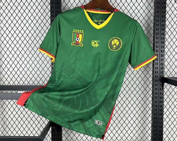 Cameroun 2025 Domicile