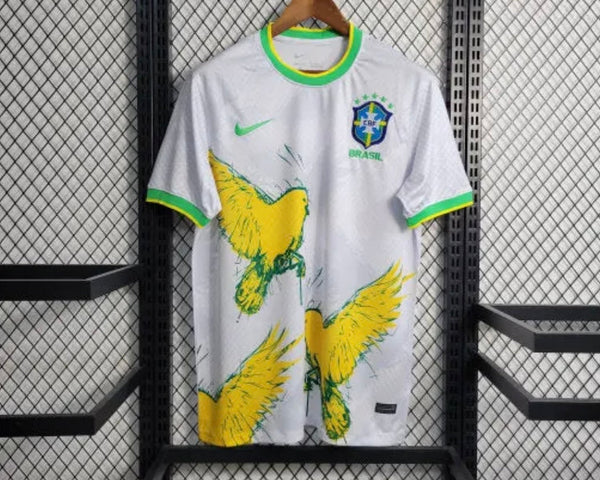 Brésil 2024 Concept