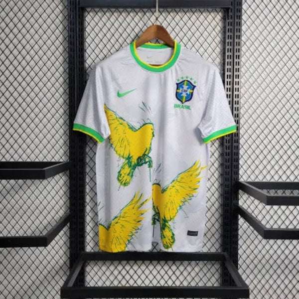 Brésil 2024 Concept