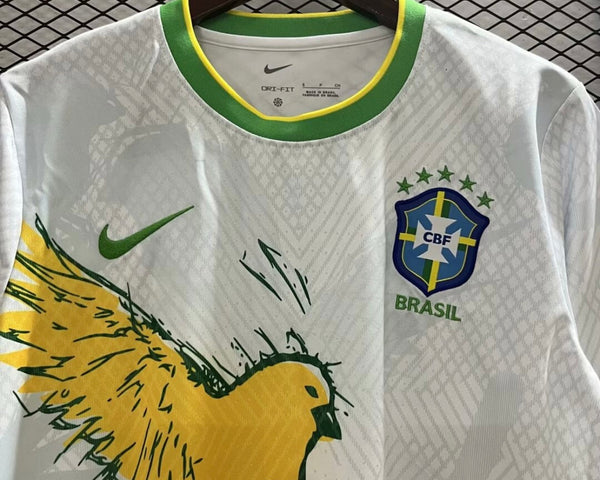 Brésil 2024 Concept