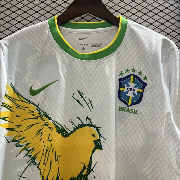 Brésil 2024 Concept