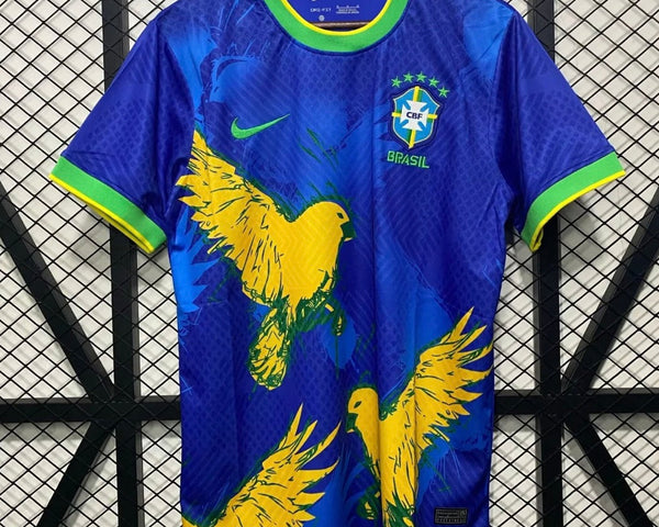 Brésil 2024 Concept