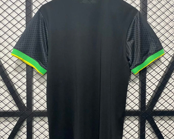 Brésil 2024 Concept