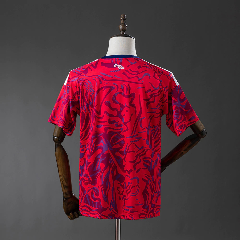 Costa Rica I - Copa 2026